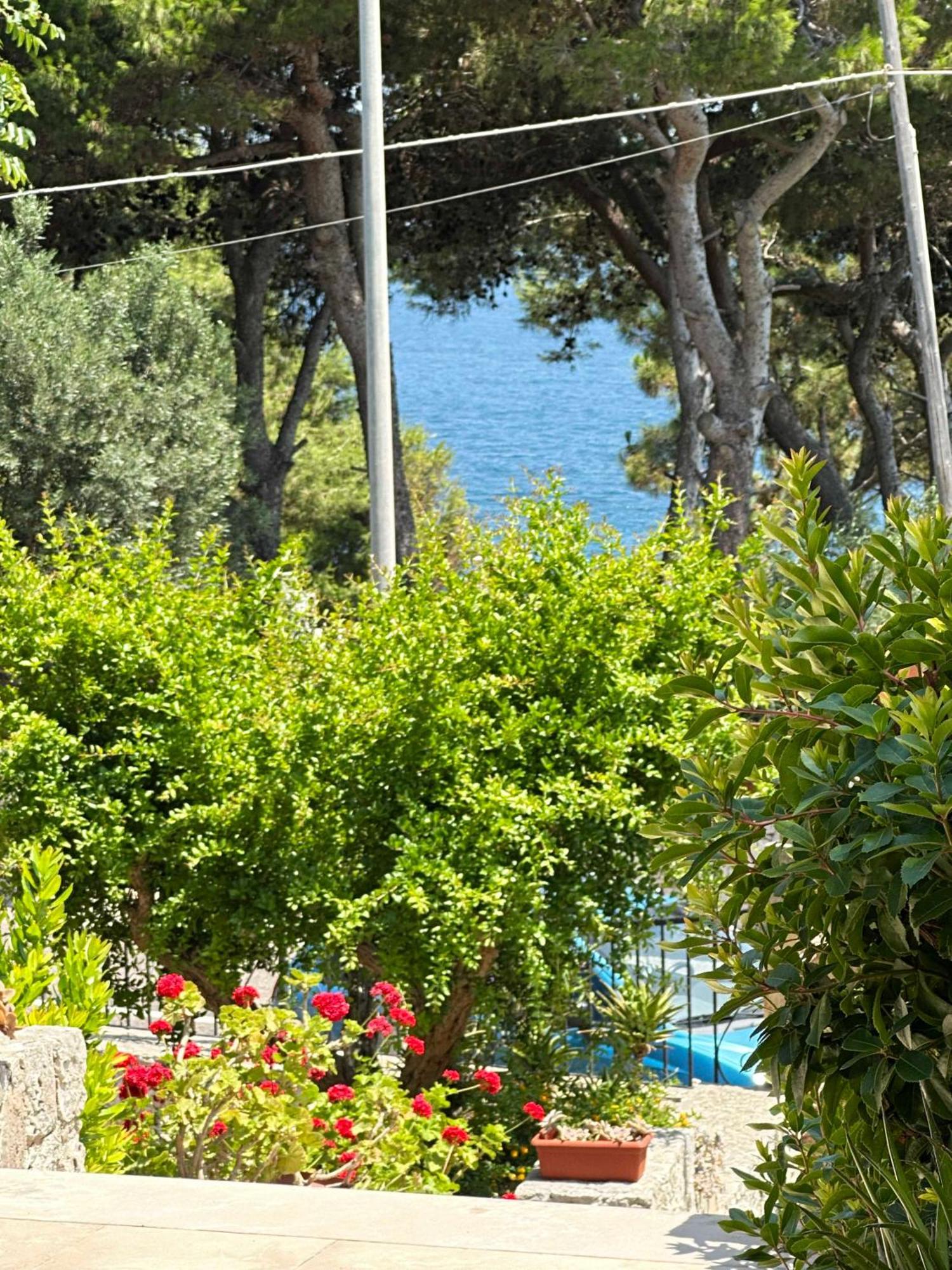 Villetta Dagre Fronte Mare Marittima Exteriör bild